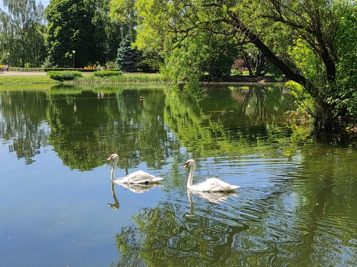 Ботанический сад это водоёмом