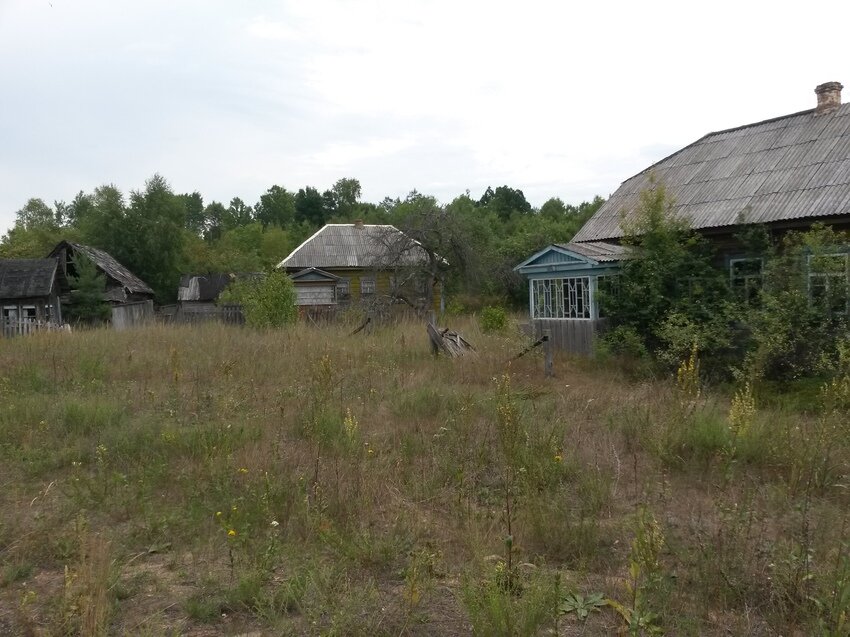 Дер александровка. Александровка (Наровлянский район). Деревня Александровка Беларусь. Гомельская область деревня Александровка. Гомельская обл. Наровлянский район д.Александровка.