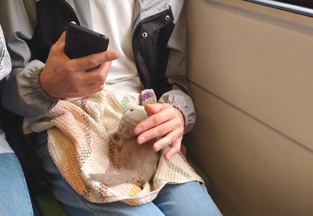 фото автора статьи