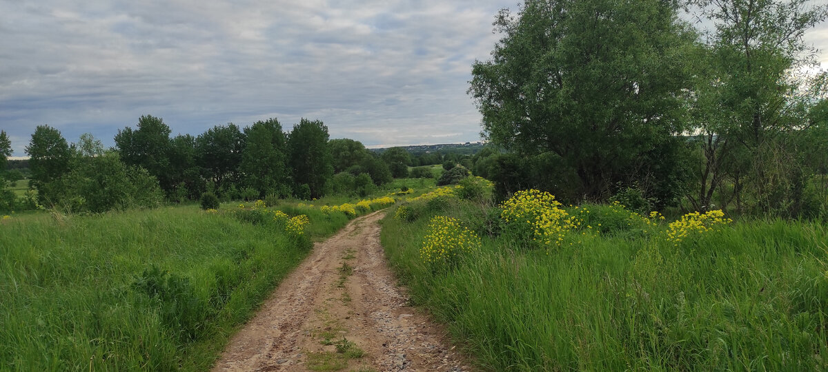 Окрестности рядом с храмом, июнь 2022 года