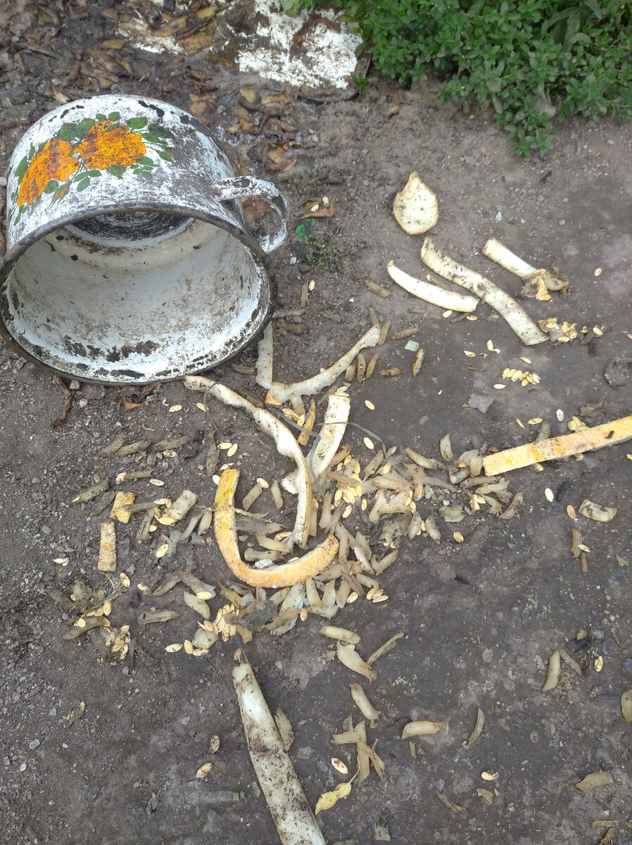 На первое блюдо, лакомство от хозяев