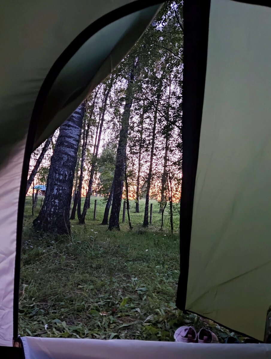 Вид из палатки в кемпинге «Березовая роща»