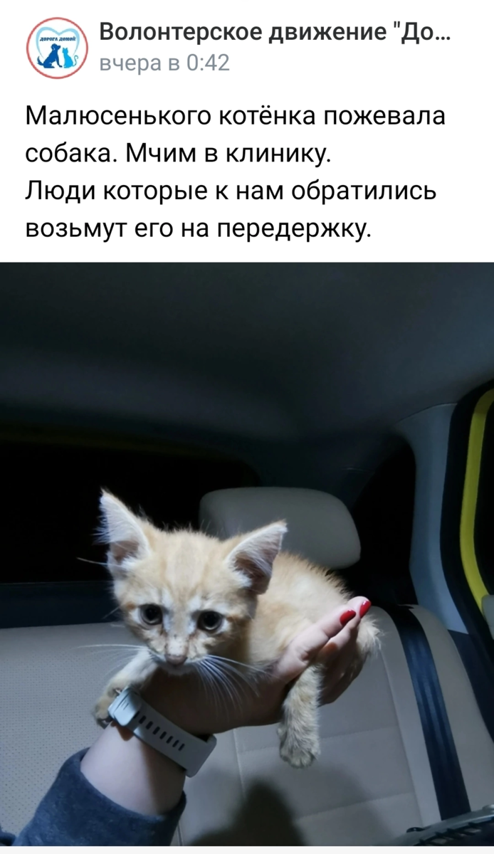 -2