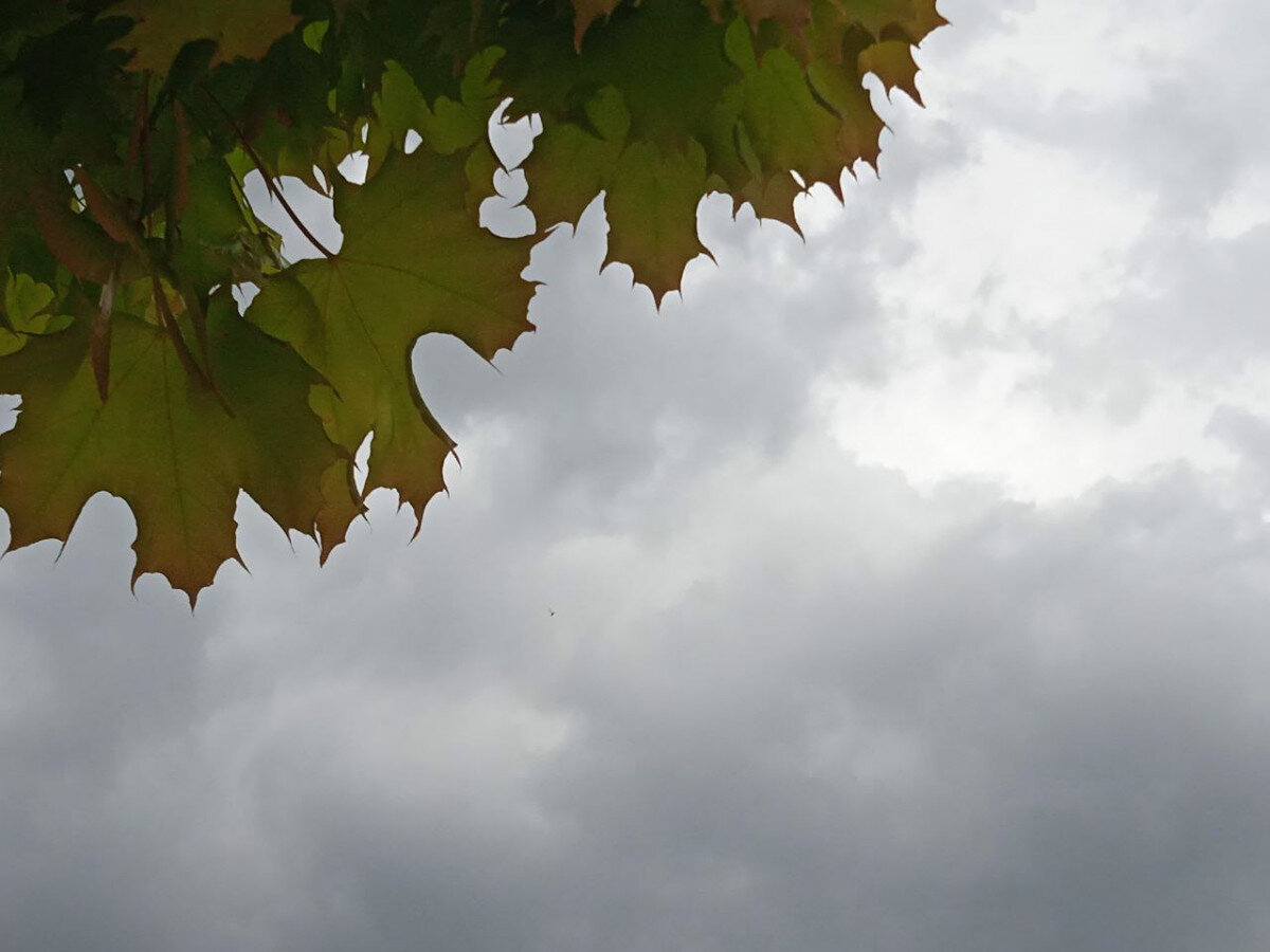   ГТРК "Ставрополье"