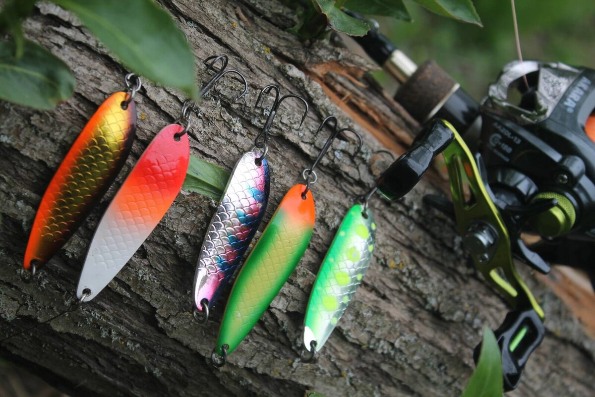 Картинка взята с сервиса Яндекс. Картинки 