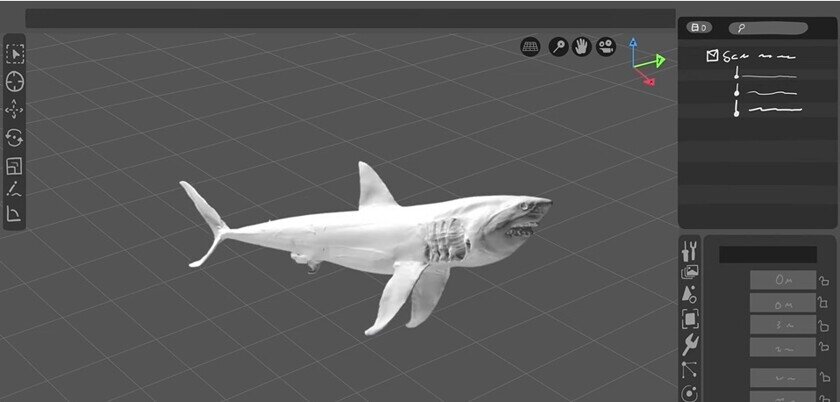    Скриншот из видео Pimiento Research Group / YouTube