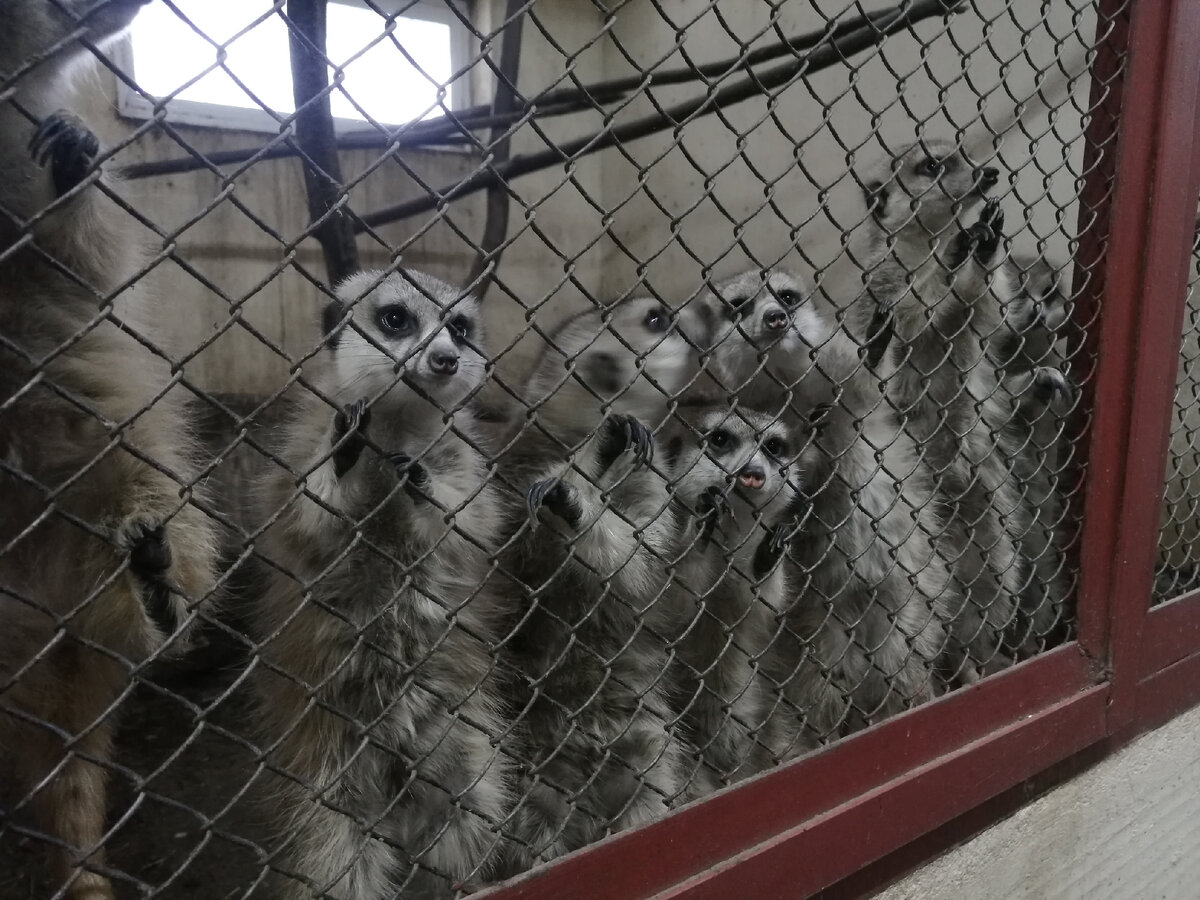 типичные жители мегаполиса, фото автора