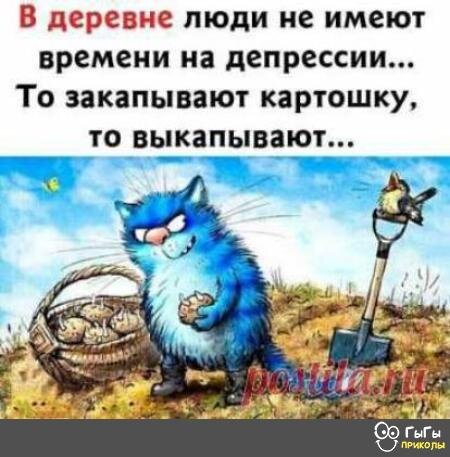 Из свободных источников