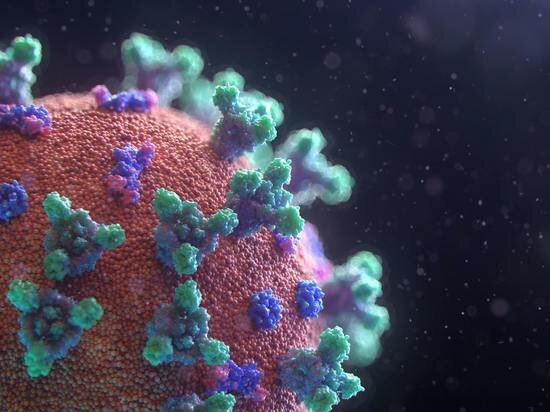     Фото: Fusion Medical Animation\unsplash.com.