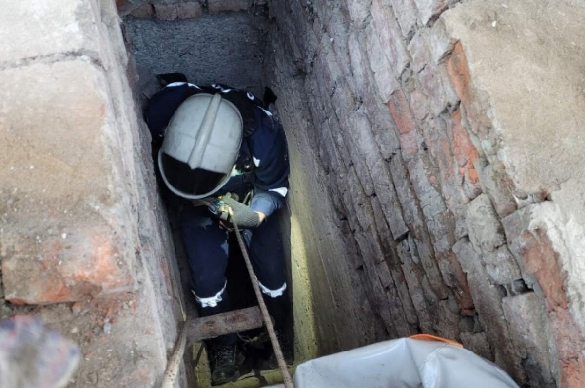    В Пермском крае спасли провалившегося в шестиметровую шахту котенка