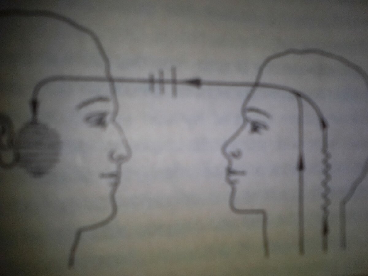 Иллюстрация из книги