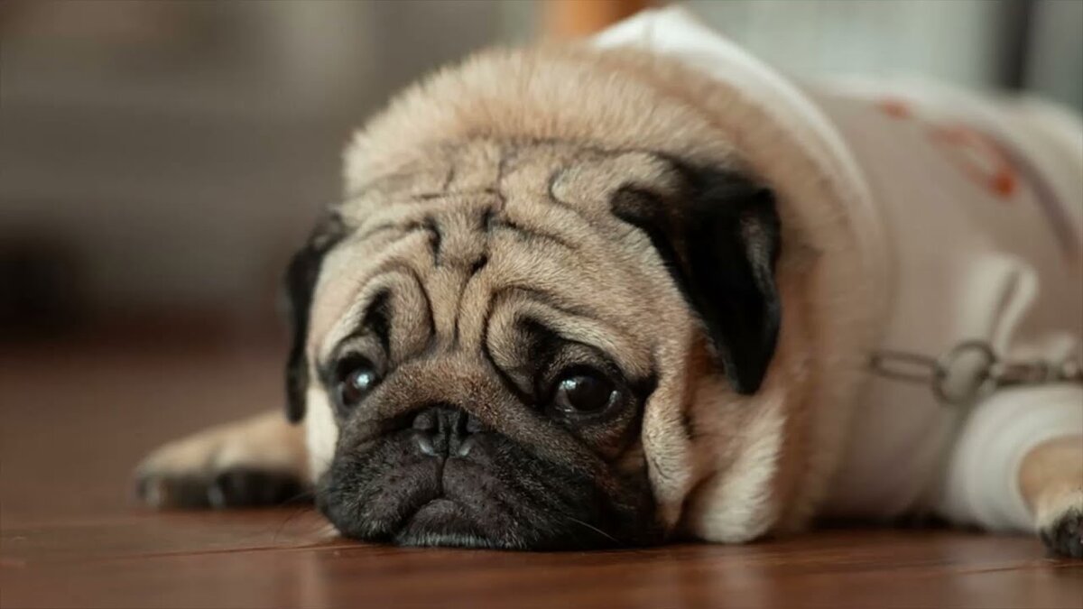 Источник: Яндекс.Картинки