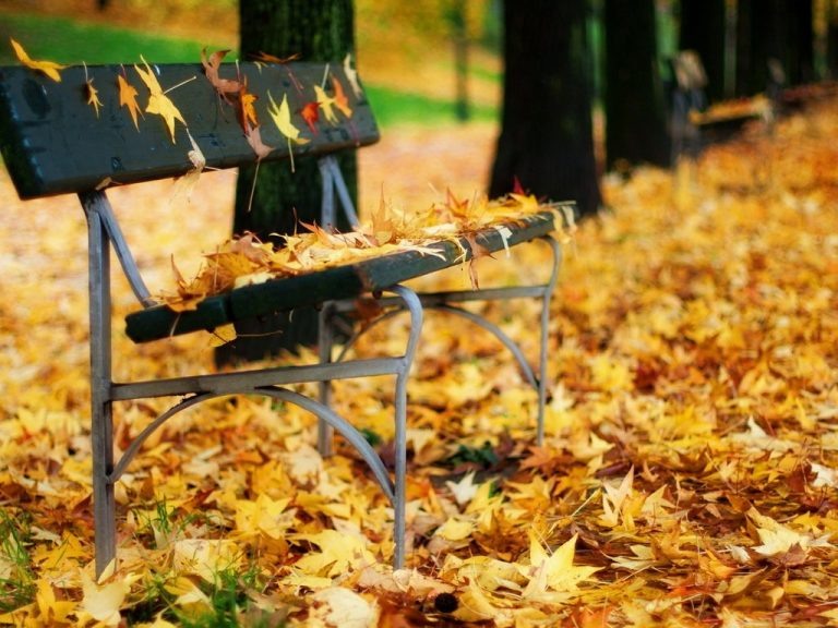    Осень не повод сидеть дома Марина Шарт