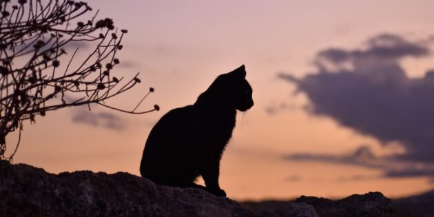 Изображение: Agape Trn / Unsplash📷
