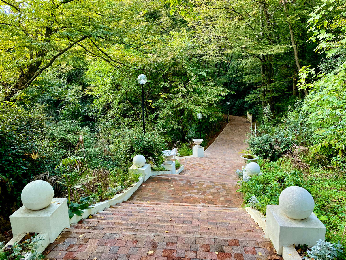 Терренкур «Тропа здоровья» вдоль моря - пешком из Мацесты в Сочи и наши ...