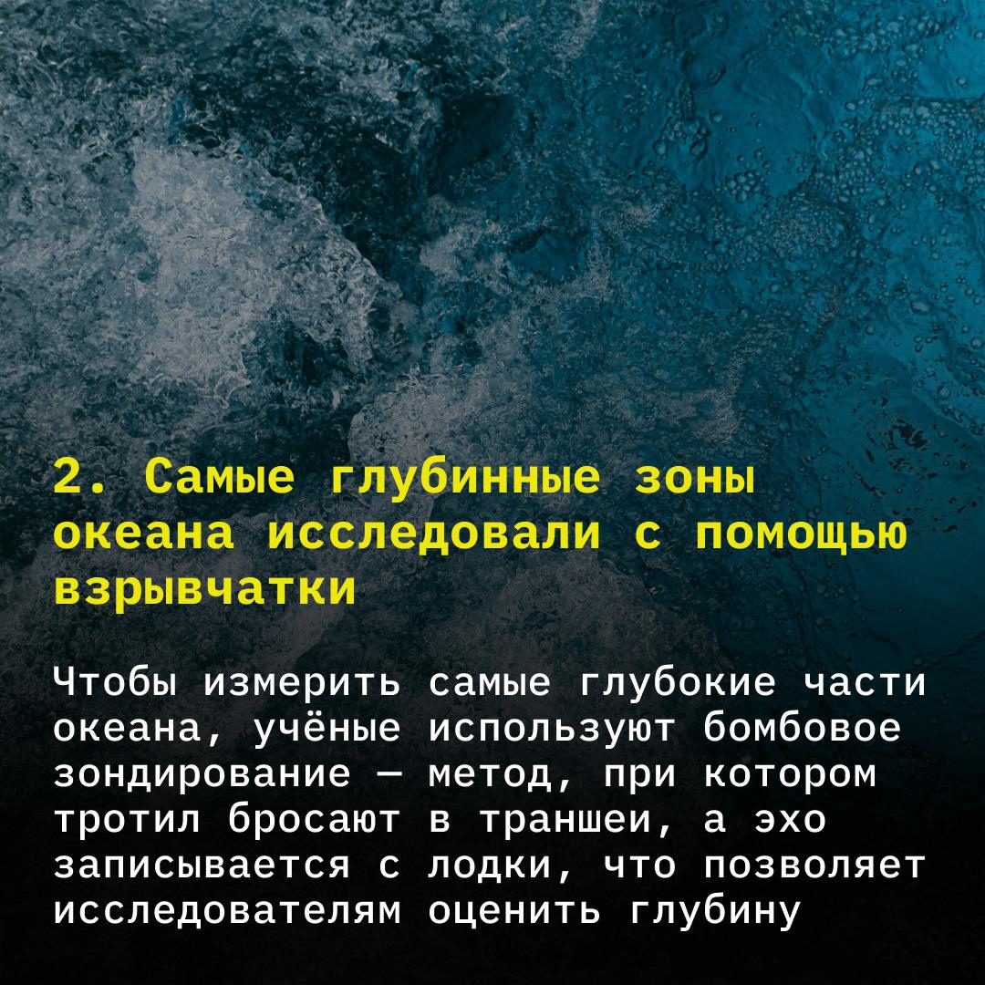 Исследования с помощью взрывчатки, невообразимые морские гиганты и другие  удивительные факты о самой глубоководной части океана | TechInsider | Дзен