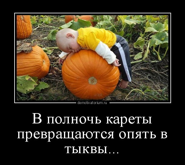 источник Яндекс-картинки