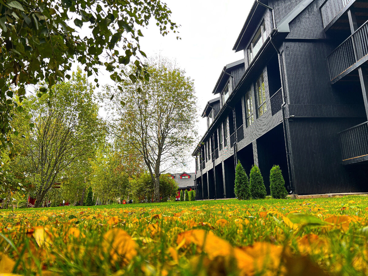 арт вилладж подмосковье. арт вилладж подмосковье. арт вилладж клаб подмосковье. Art village голиково ул. арт вилладж голиково.