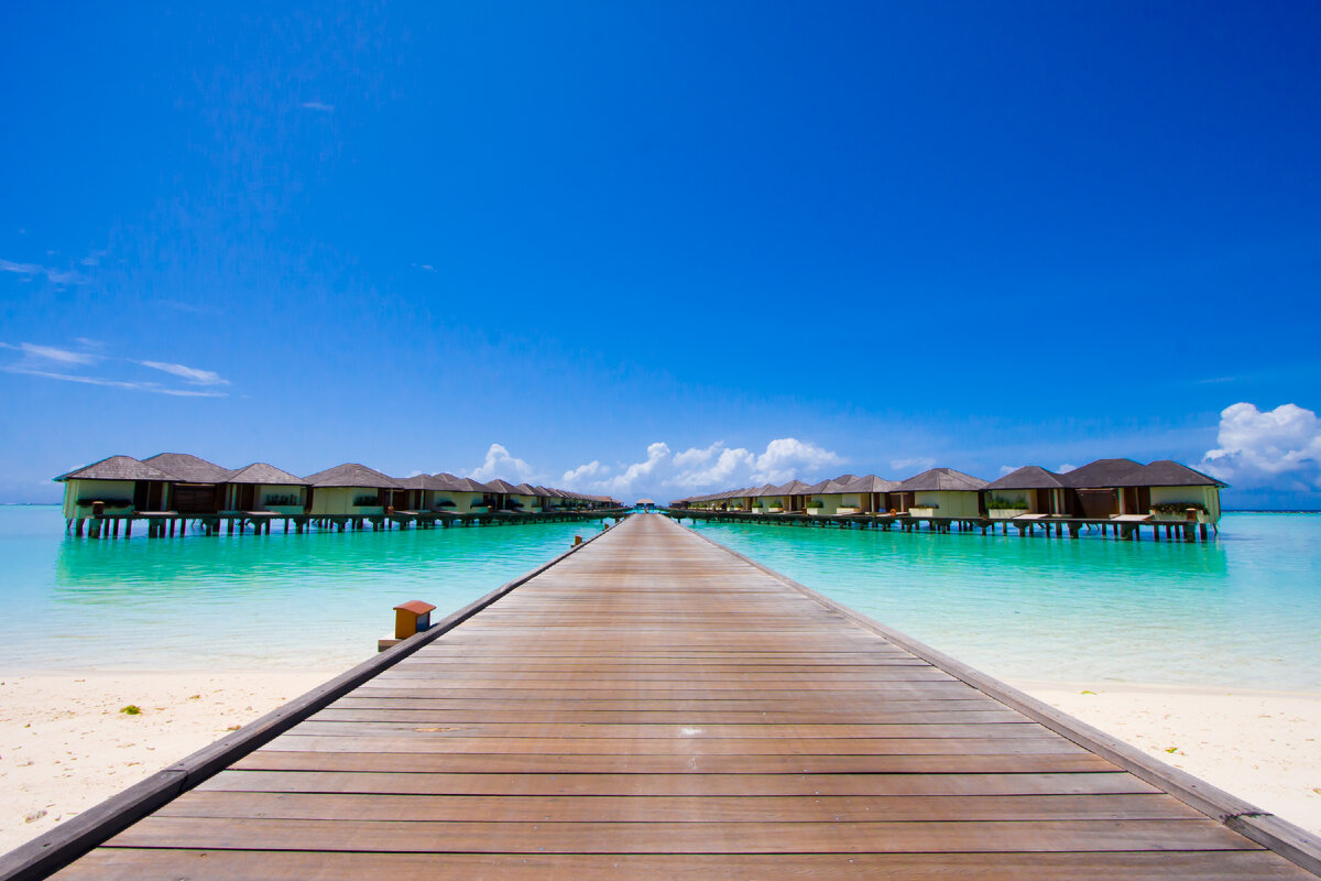 Фото: shutterstock