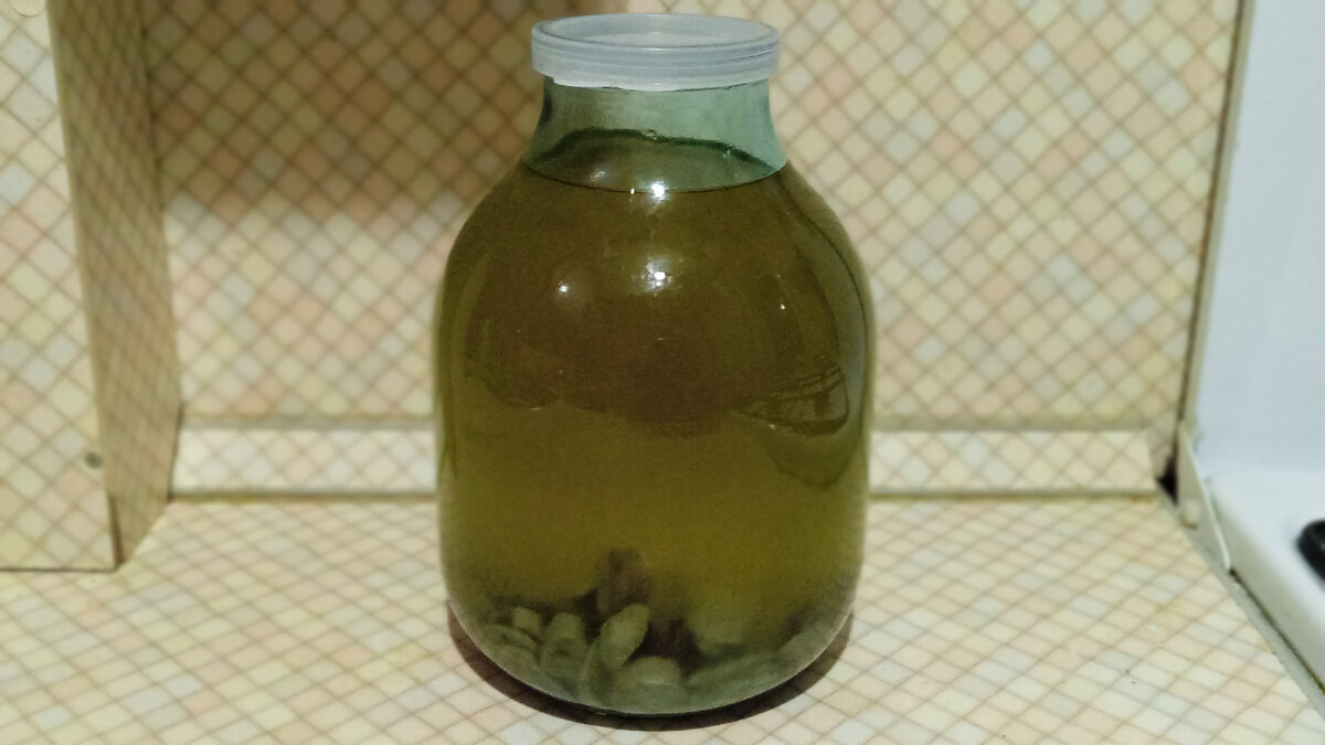 Настойка из девясила