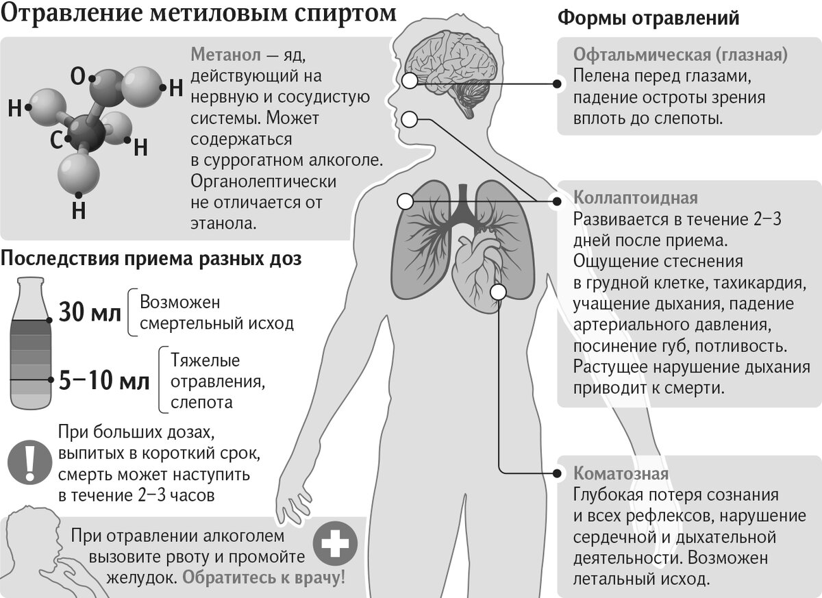 Фото взято с источника: https://goo.su/9OmK1gh