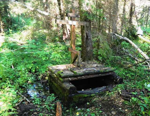 Родник у деревни Кузнецы