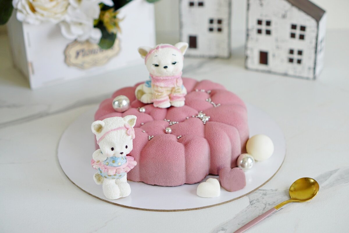 Пример велюрового покрытия - муссовый торт на фото