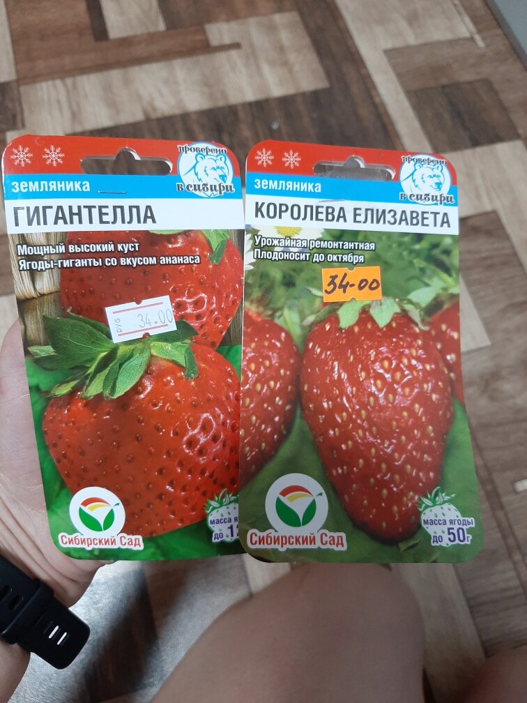 Мои клубнички