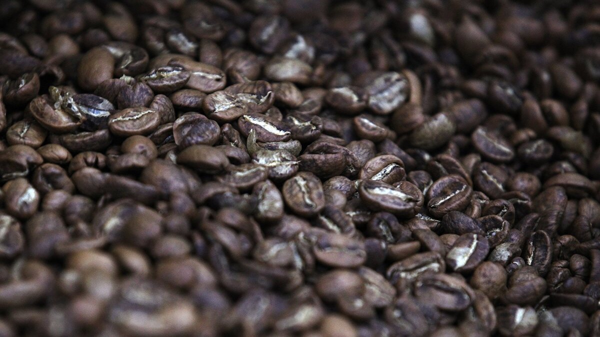    Производство кофе на фабрике в Московской области© РИА Новости . Евгений Биятов