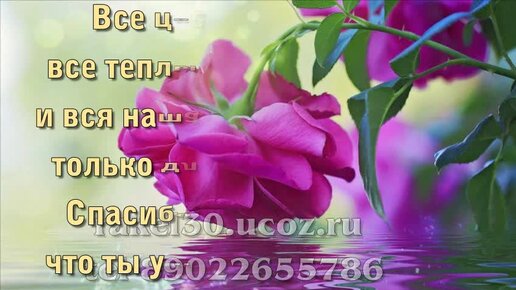 Поздравления с юбилеем 80 лет бабушке от внучки