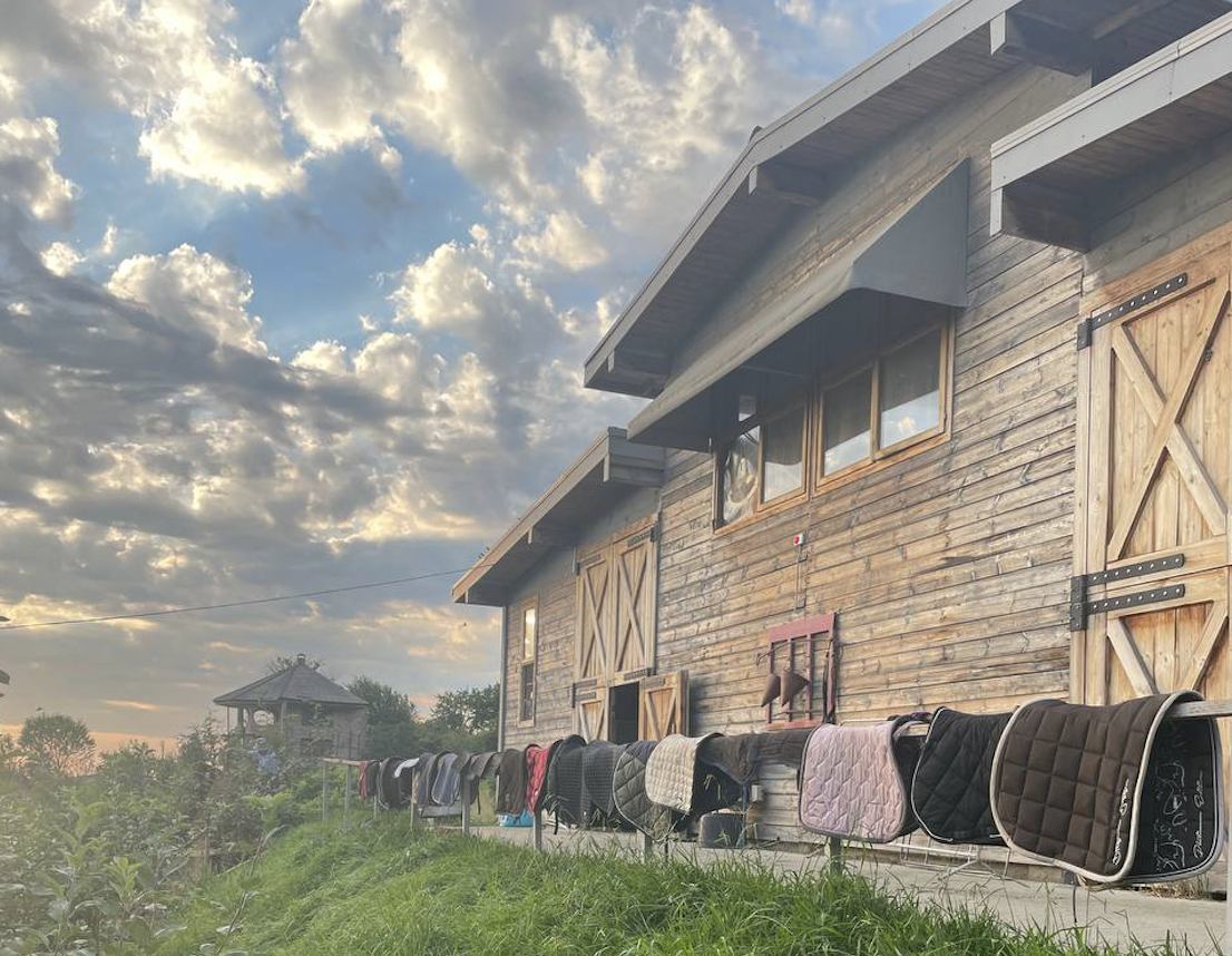 Вот такую красоту мы увидели на ферме этим летом.