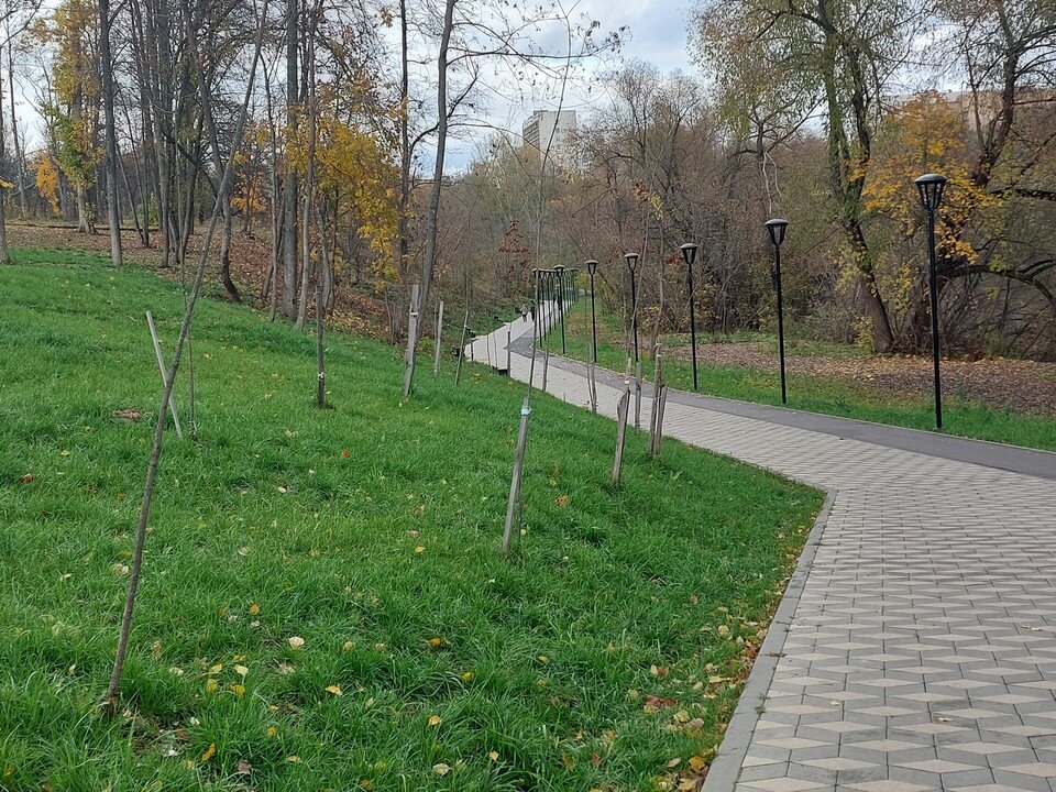     Парк Победы пополнился новыми деревьями Ольга СУПОНЕВА