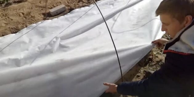 Кадр: Сады севера Казахстана / YouTube📷
