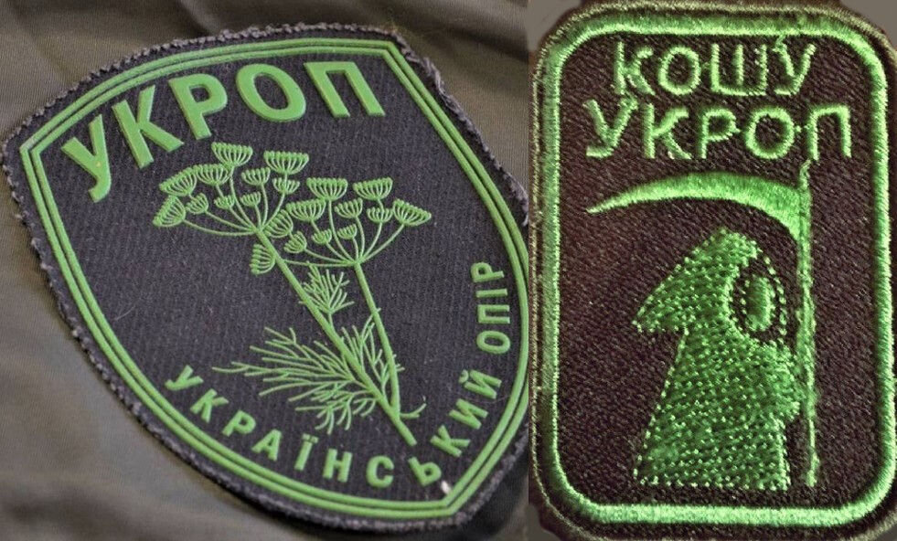 Украинский шеврон «Укроп» и шеврон ополченцев Донбасса «Кошу укроп»