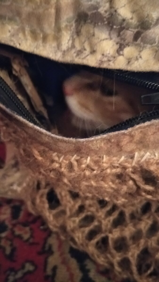 Личное  фото.