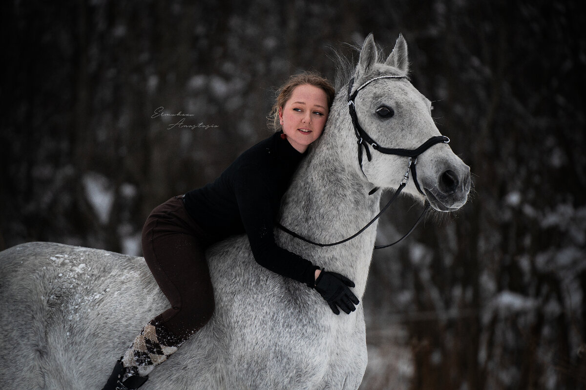 Я являюсь владельцем лошади уже 13 лет.