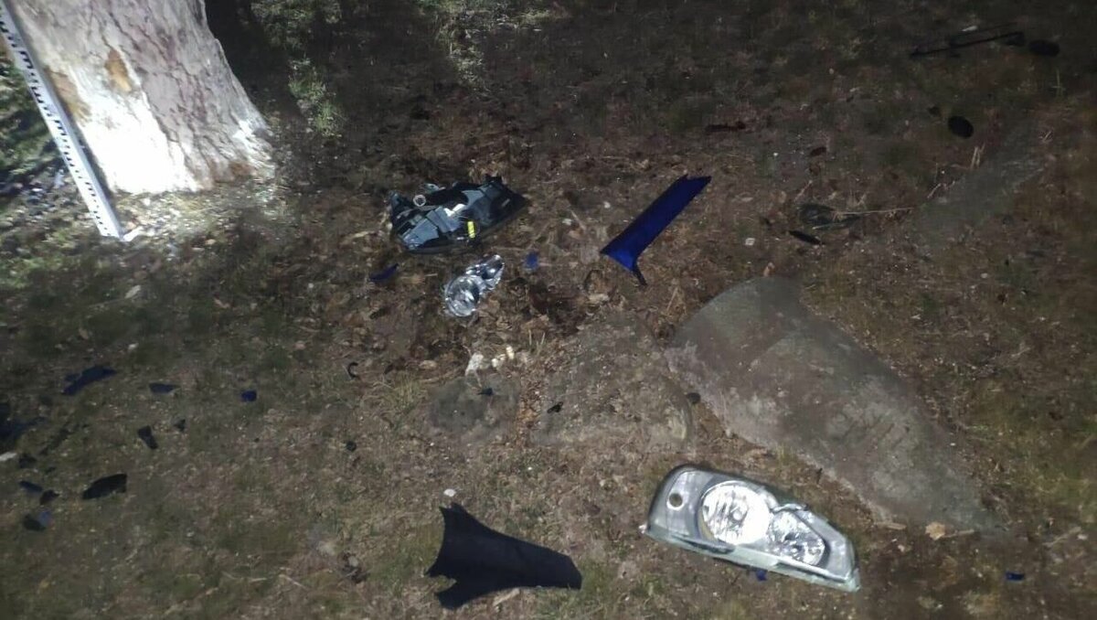     Об аварии с пострадавшими в Грачевском округе рассказали в ГИБДД по Ставропольскому краю.