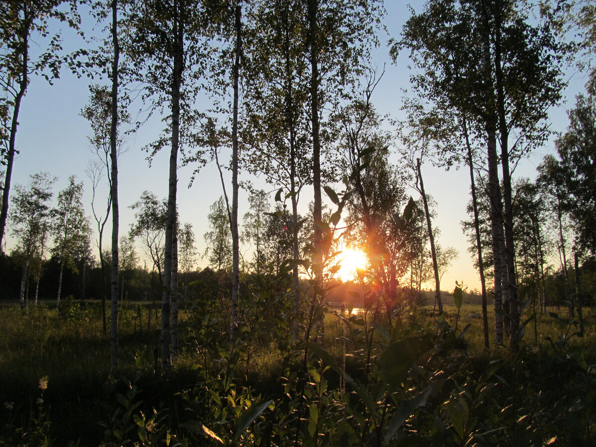 Фото автора.