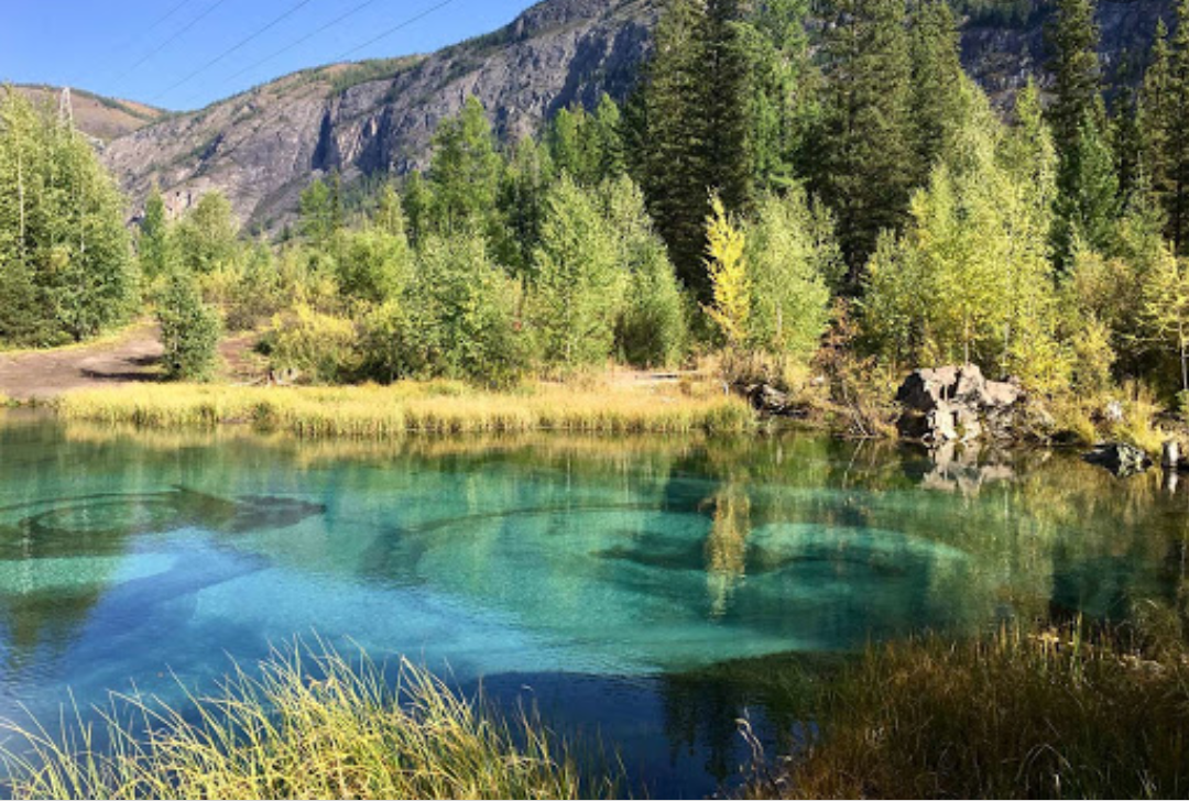 Фото из сети 