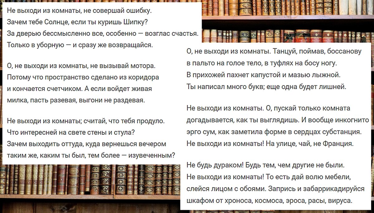 📚Стихи Бродского, где он 50 лет назад случайно описал то, что происходит  сегодня в мире и обществе: актуальнее, чем в 1970г | 📚 Книжный клуб  авантюристов с Лёлей Батуриной | Дзен