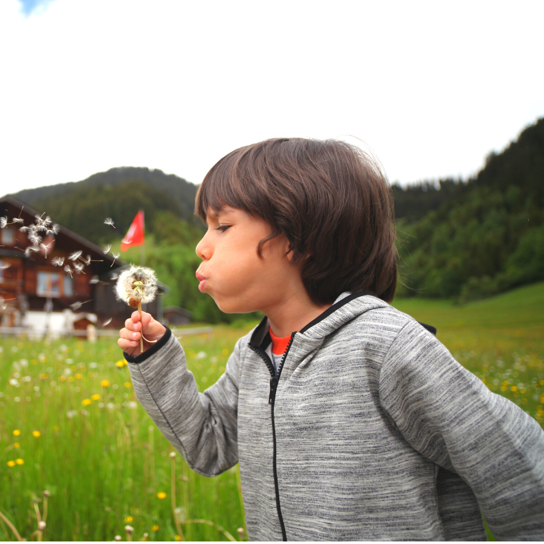 Фото взято из открытого источника