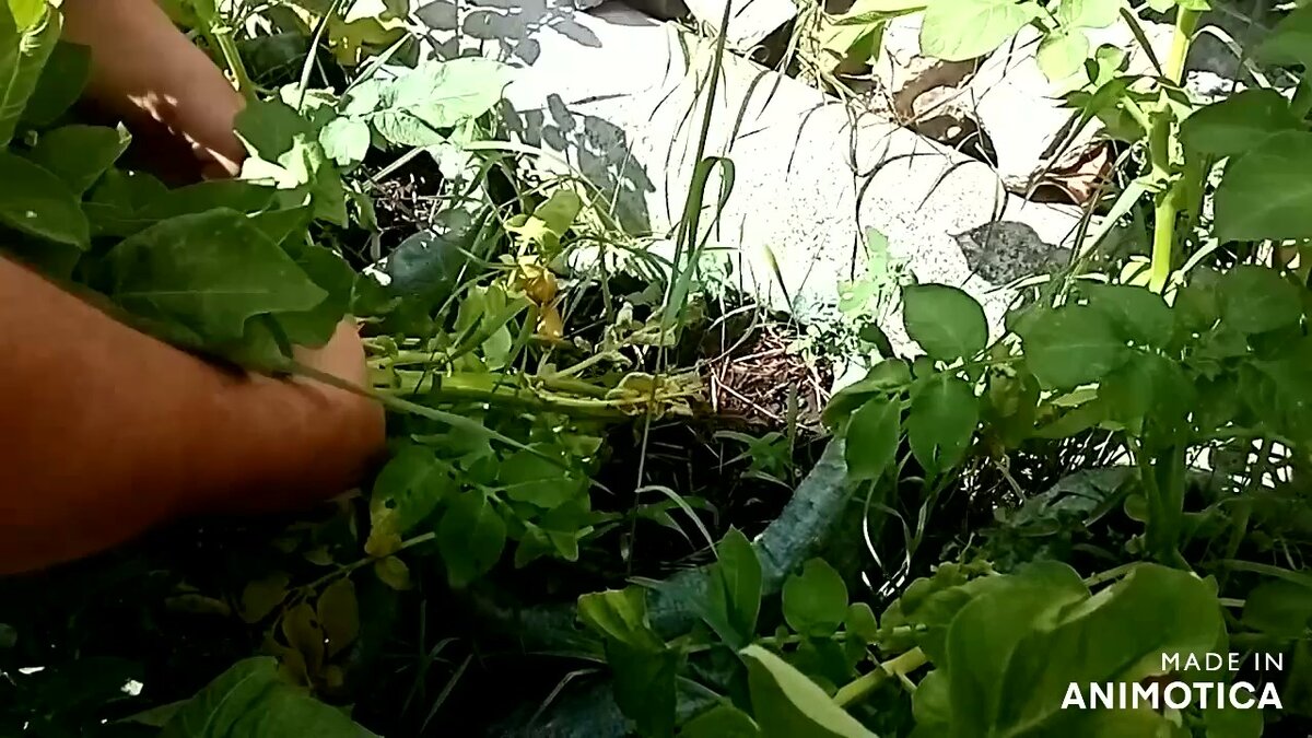 1 июля 2021 года