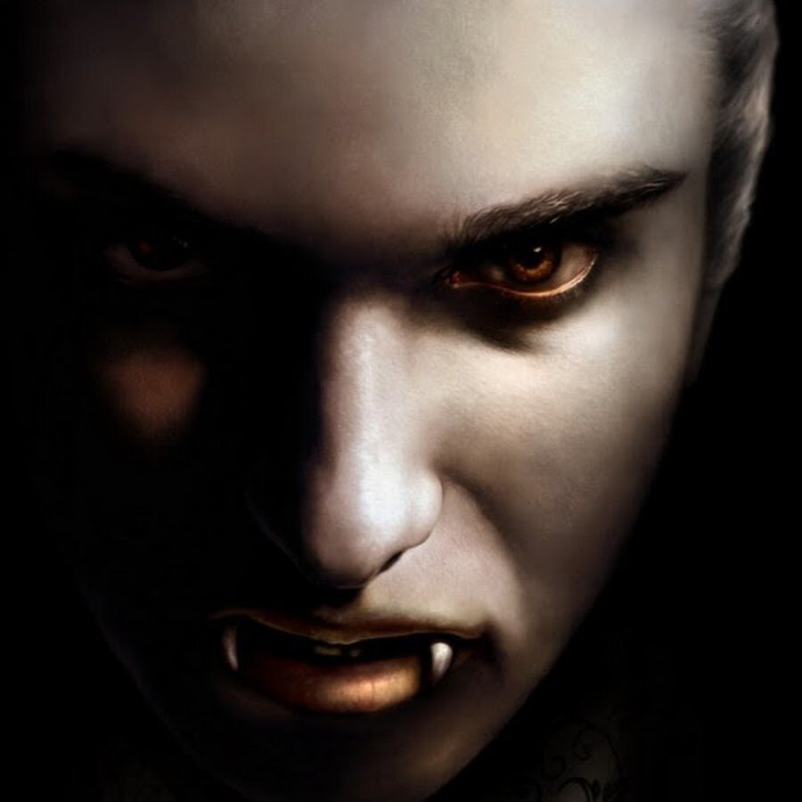 Яндекс картинки