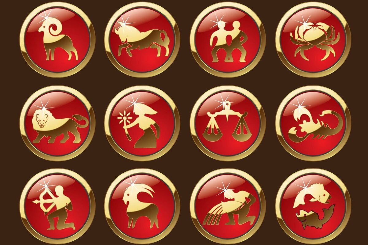 Изображение взято с открытых источников интернета