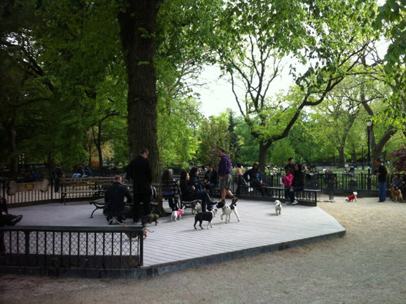 Площадка для выгула собак Dog Run в Нью-Йорке 
