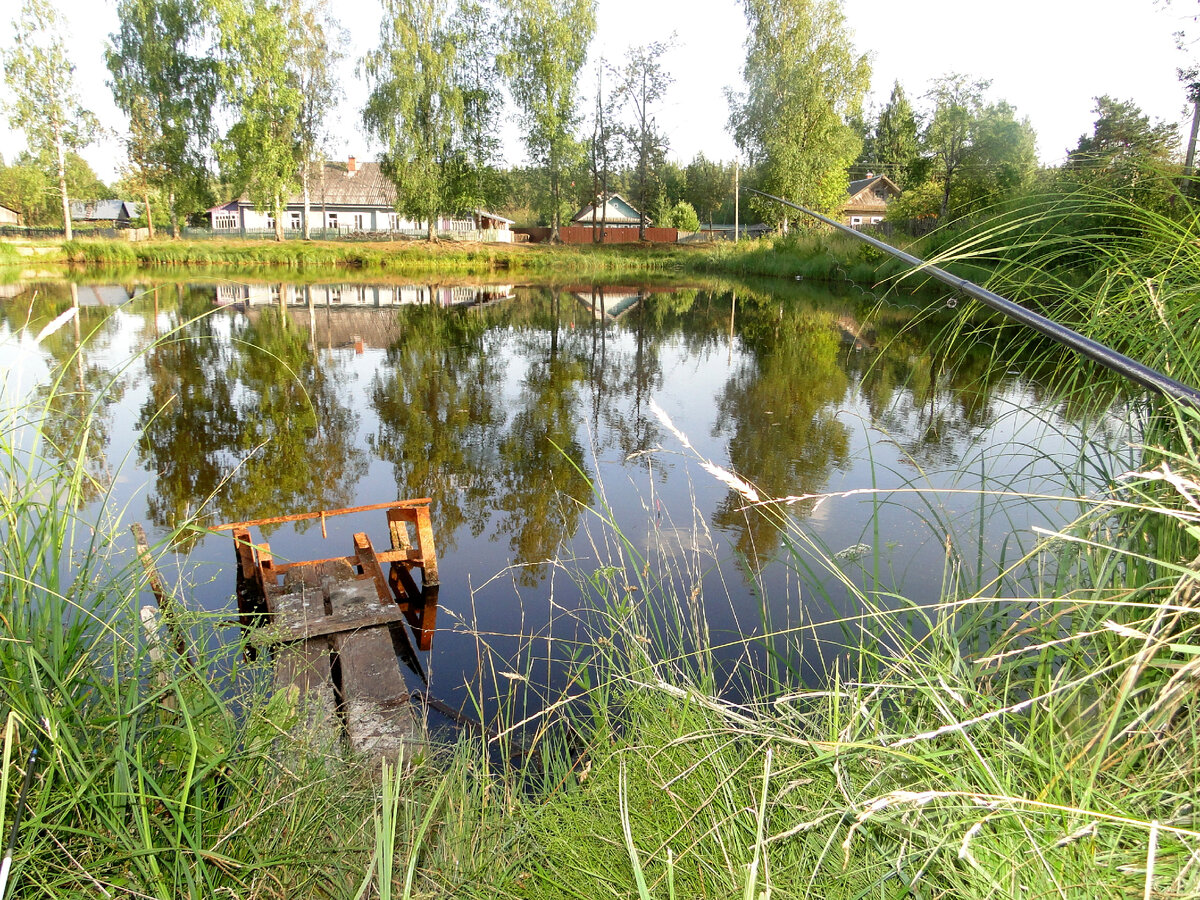 Пруд, на котором был пойман первый в жизни карась!