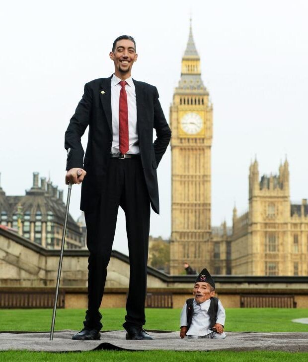 Высокий и низкий