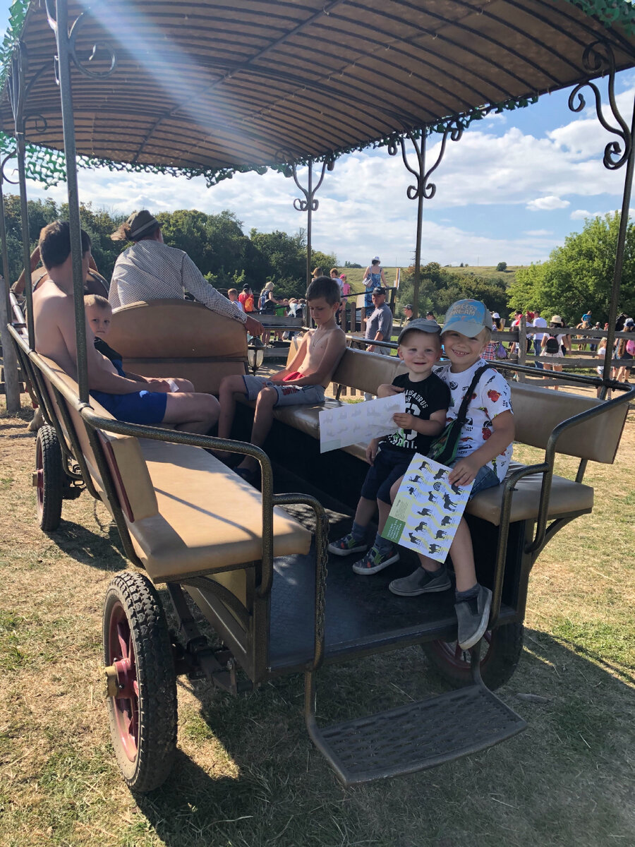 Повозка на которой проходит экскурсия по сафари парку