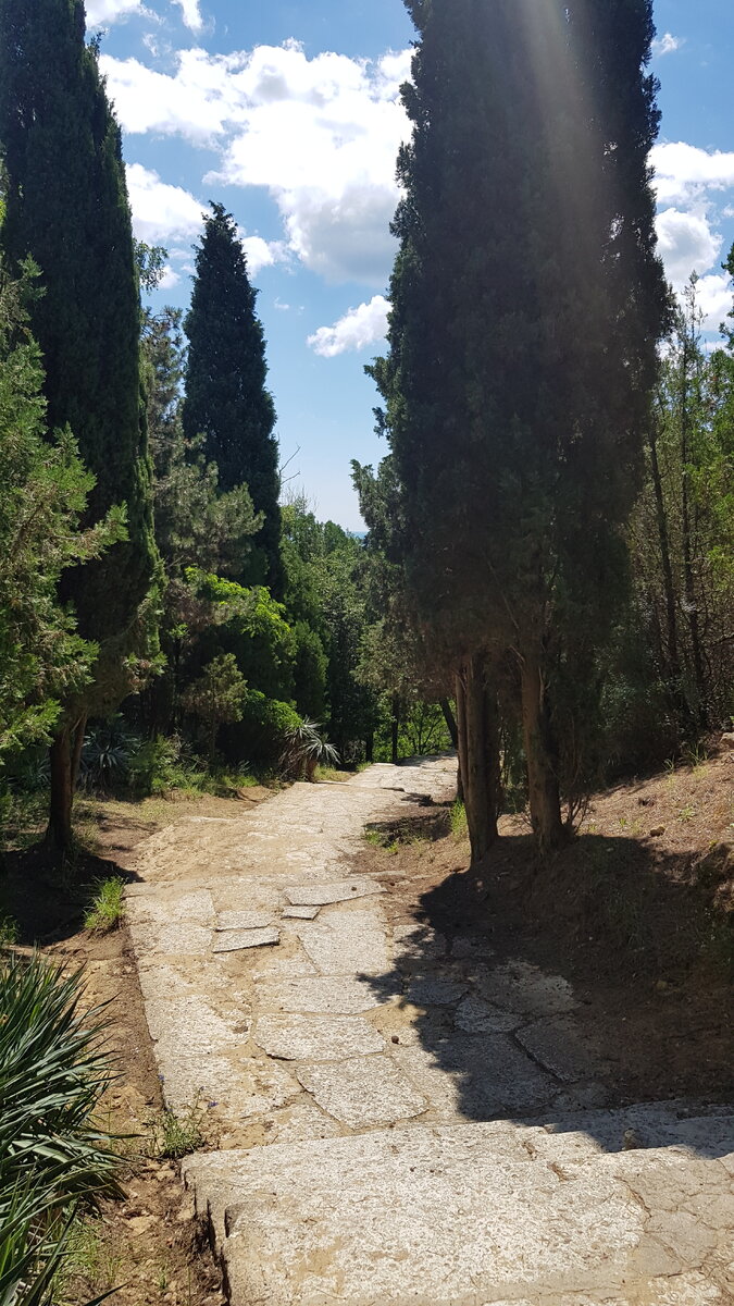 Дорога на дикий пляж