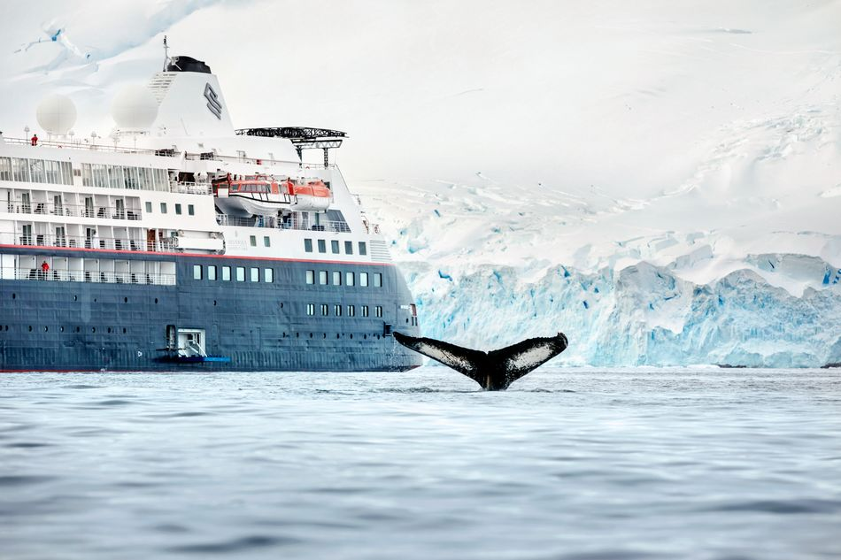 Всемирный круиз Silversea. Корабль антарктический круиз. Круизный лайнер Антарктида. Круизный корабли Шпицберген.